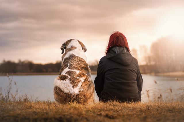 I.F.S.A Institut de Formation en soins animaliers