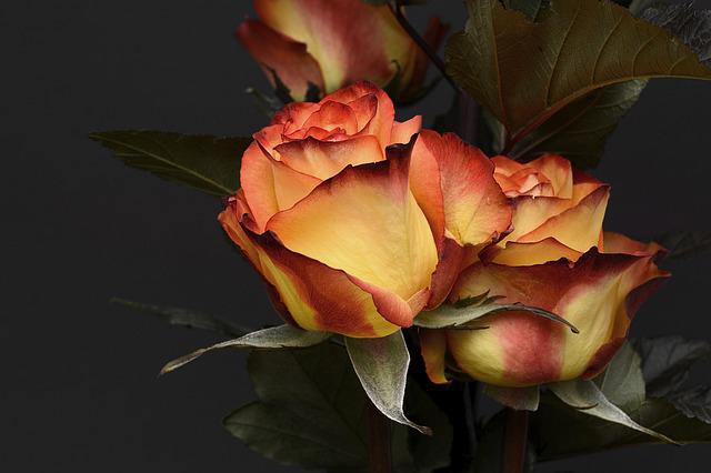 5-ides-cadeau-pour-la-saint-valentin