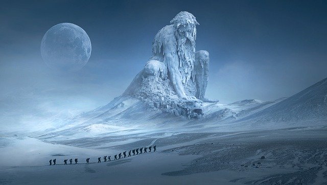 les-5-arbres-les-plus-bizarres-du-monde