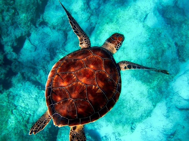 les-5-endroits-les-plus-fascinants-du-monde