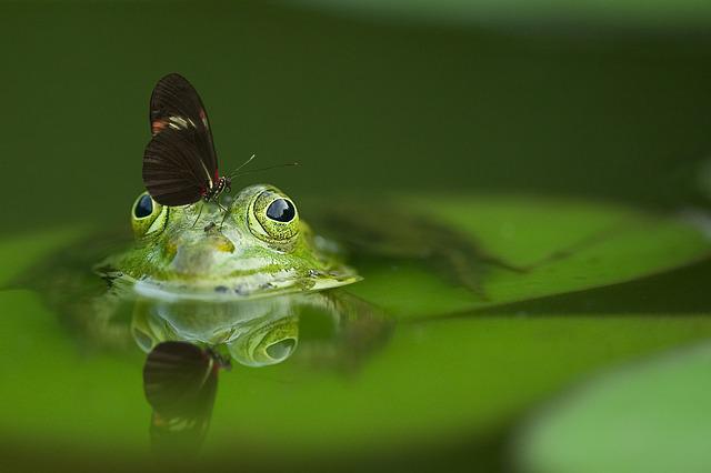 les-5-endroits-les-plus-fascinants-du-monde