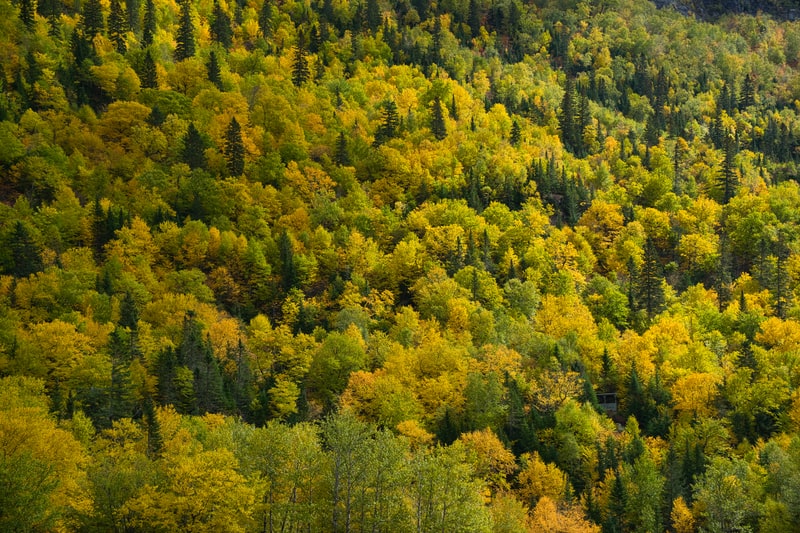 Rencontres chat online anonymat