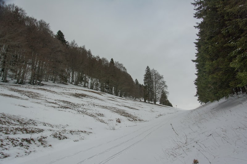 les-5-avantages-d-une-porte-fenetre-pvc