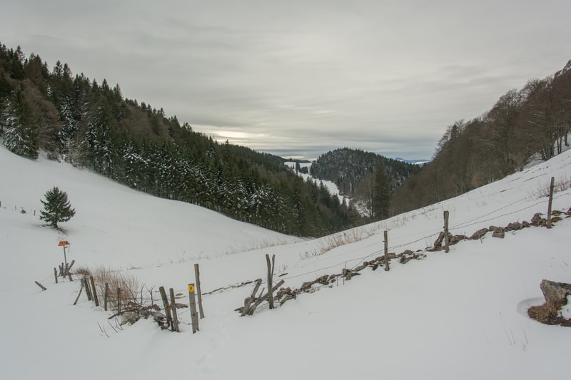 les-5-meilleures-enseignes-pour-acheter-une-porte-fenetre-pvc