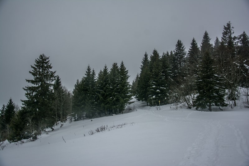 les-5-meilleures-enseignes-pour-acheter-une-porte-fenetre-pvc